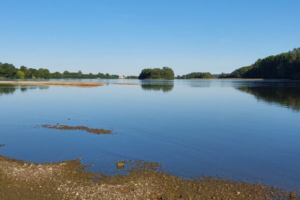 Randonner au bord de la Loire "nature"