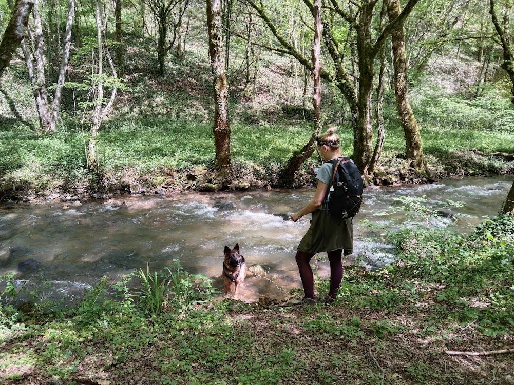 Balade vallée heureuse Jeûne Nature Eveil et Sens