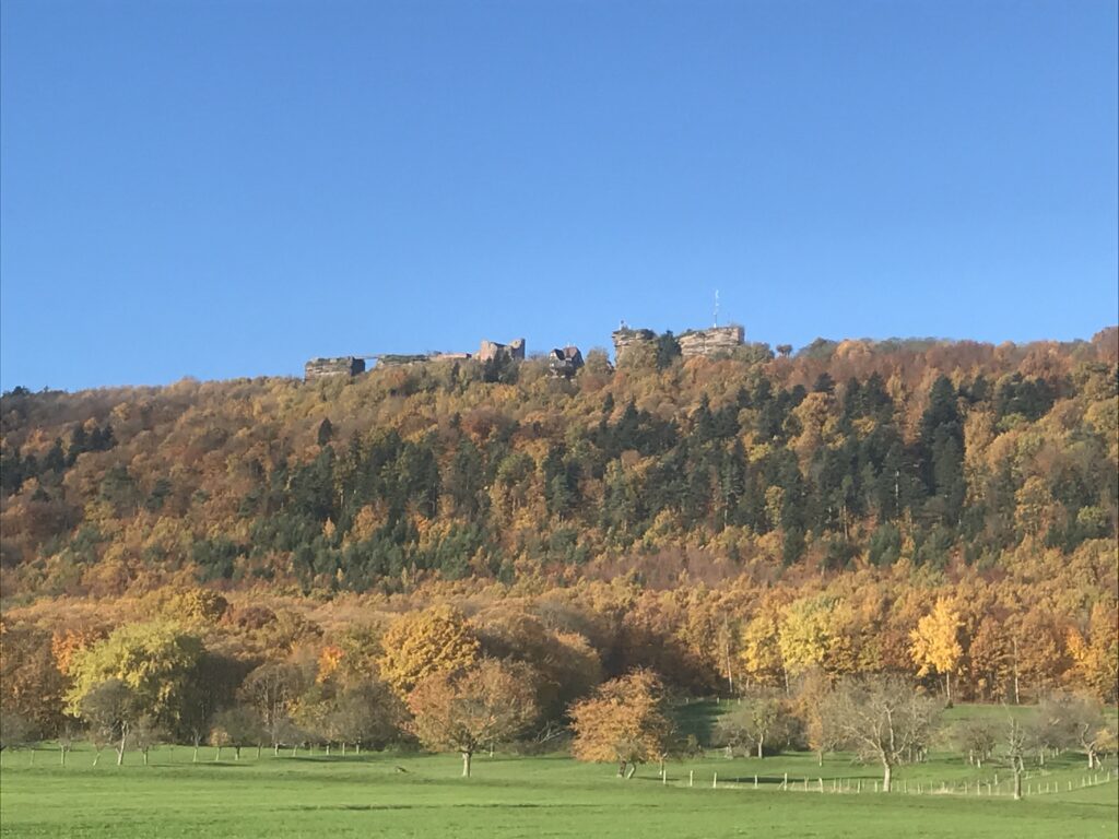 La forêt aux couleurs de l'automne et le château du Haut-Barr