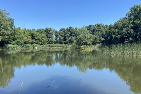 Etang à St Sorlin, une pause Zen Jeûne Essentiel