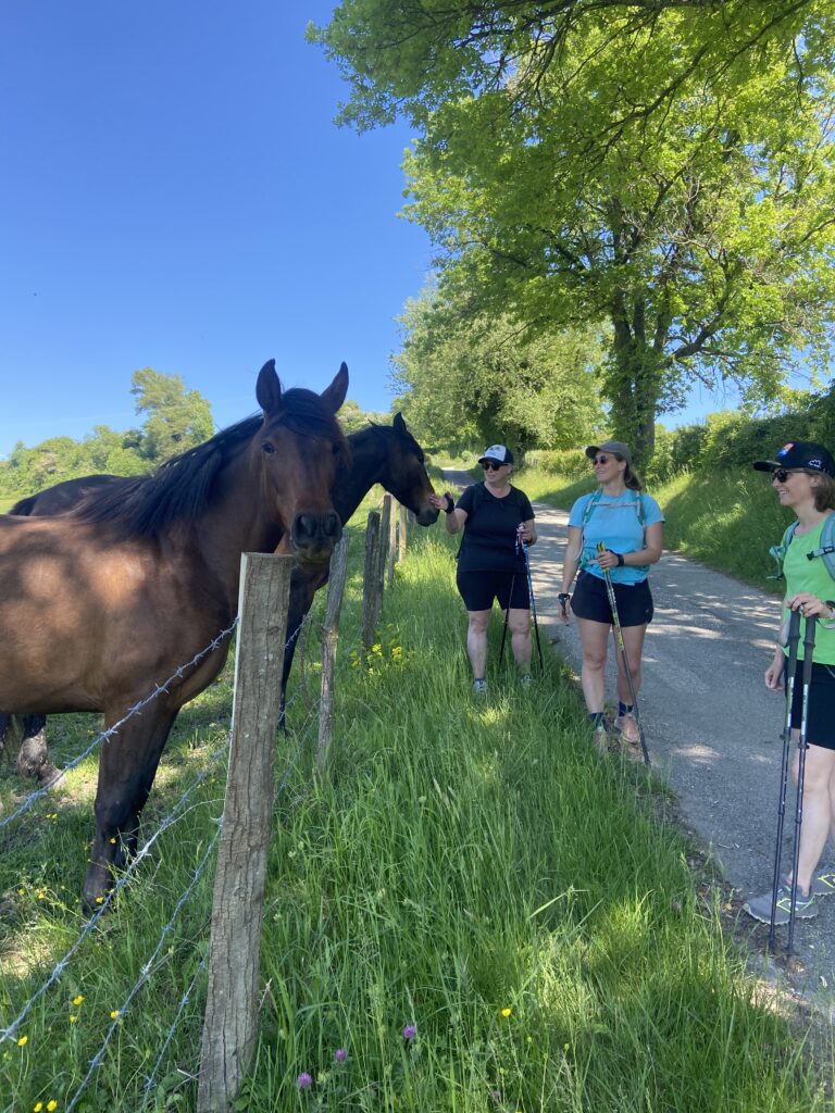 Rencontre équestre à Monsteroux Milieu
