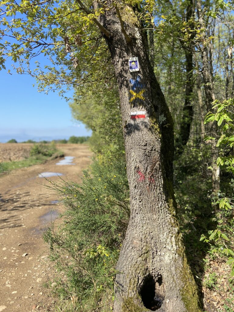 Sur le chemin de Compostelle