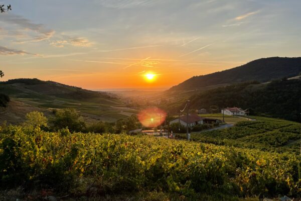 L'Instant Jeûne en Beaujolais