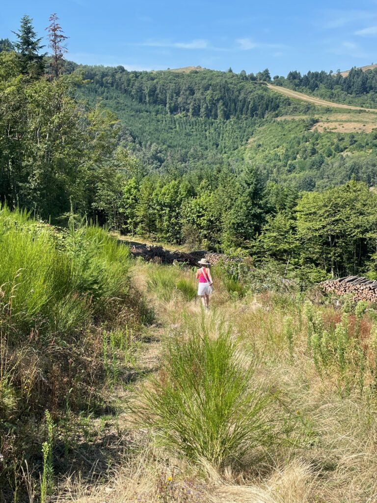 L'Instant Jeûne en Beaujolais