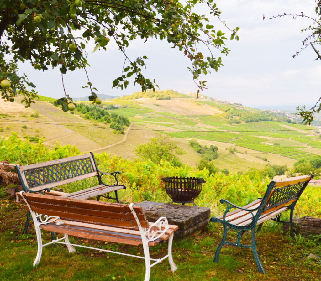 L'instant Jeûne en Beaujolais