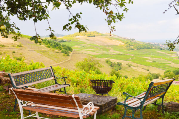 L'instant Jeûne en Beaujolais