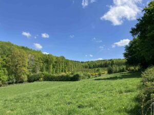 Vallée verte en Ardenne pour randonnées et séjours de jeûne avec La voie du jeûne