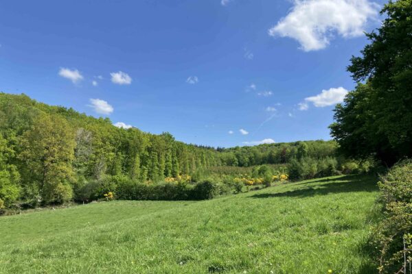 Vallée verte en Ardenne pour randonnées et séjours de jeûne avec La voie du jeûne