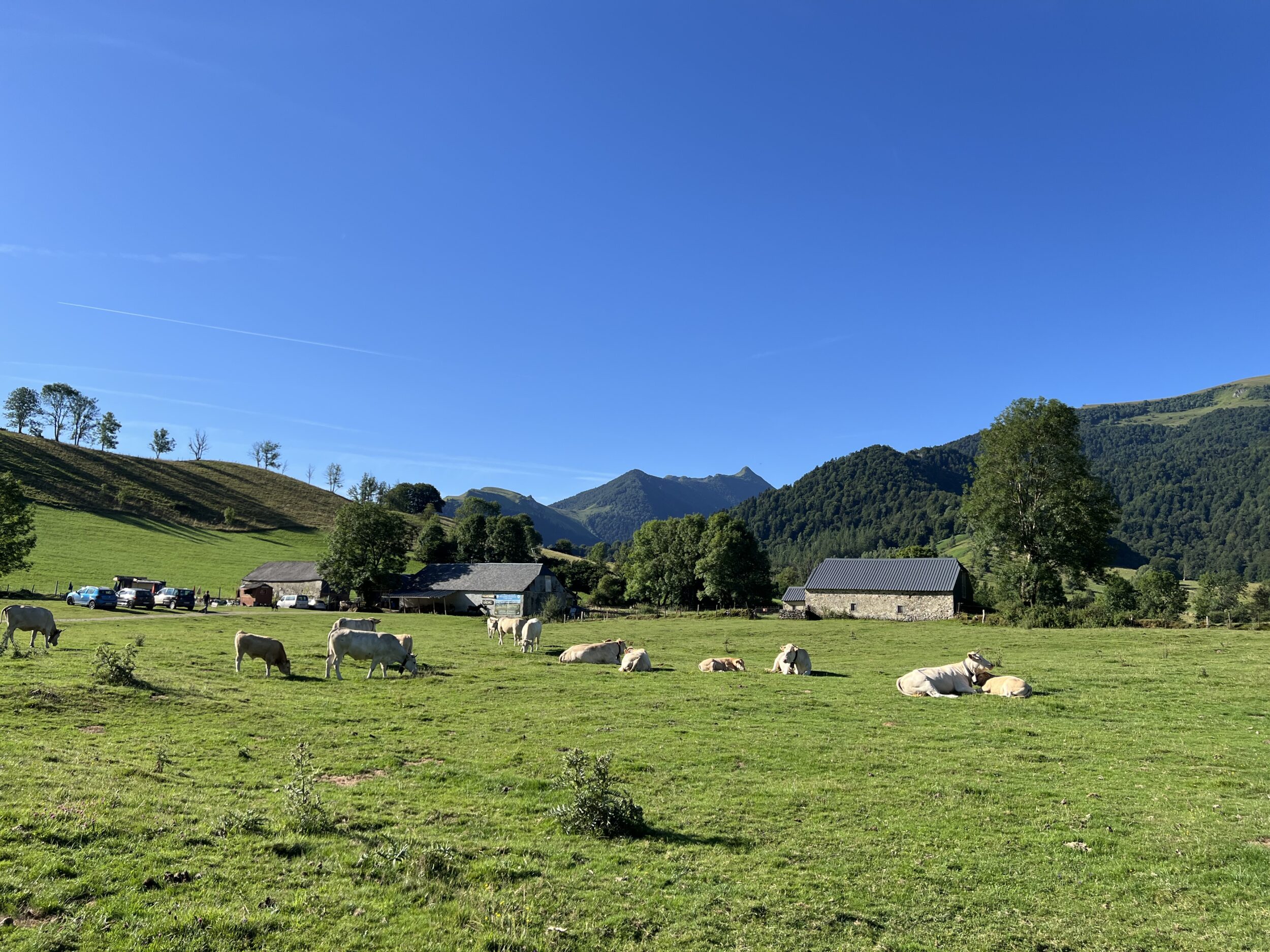Clos Laja