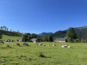 Séjours de jeûne et. randonnée dans la vallée d'ossau dans les pyrénées