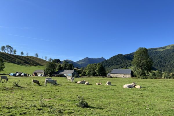 Séjours de jeûne et. randonnée dans la vallée d'ossau dans les pyrénées
