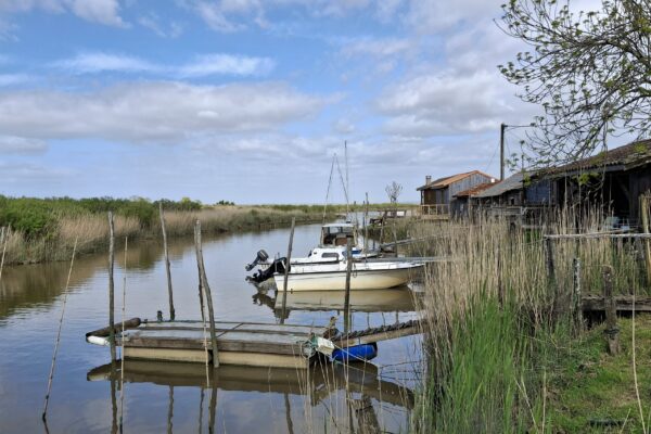 jeûne et clair, FFJR, estuaire Garonne, bordeaux