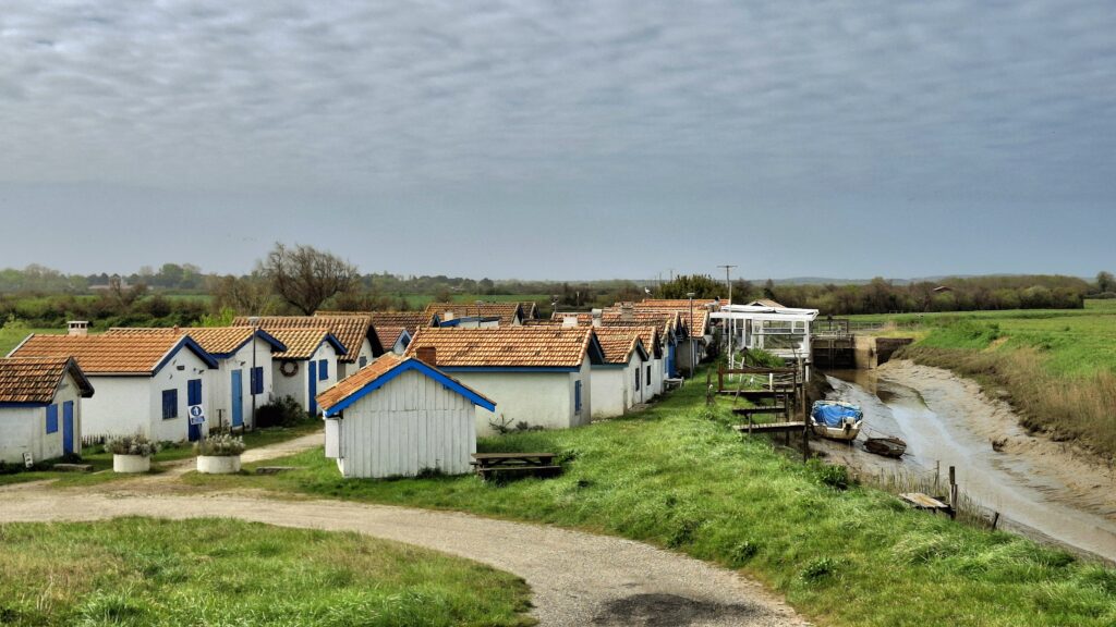 jeune et clair, FFJR, estuaire, balade