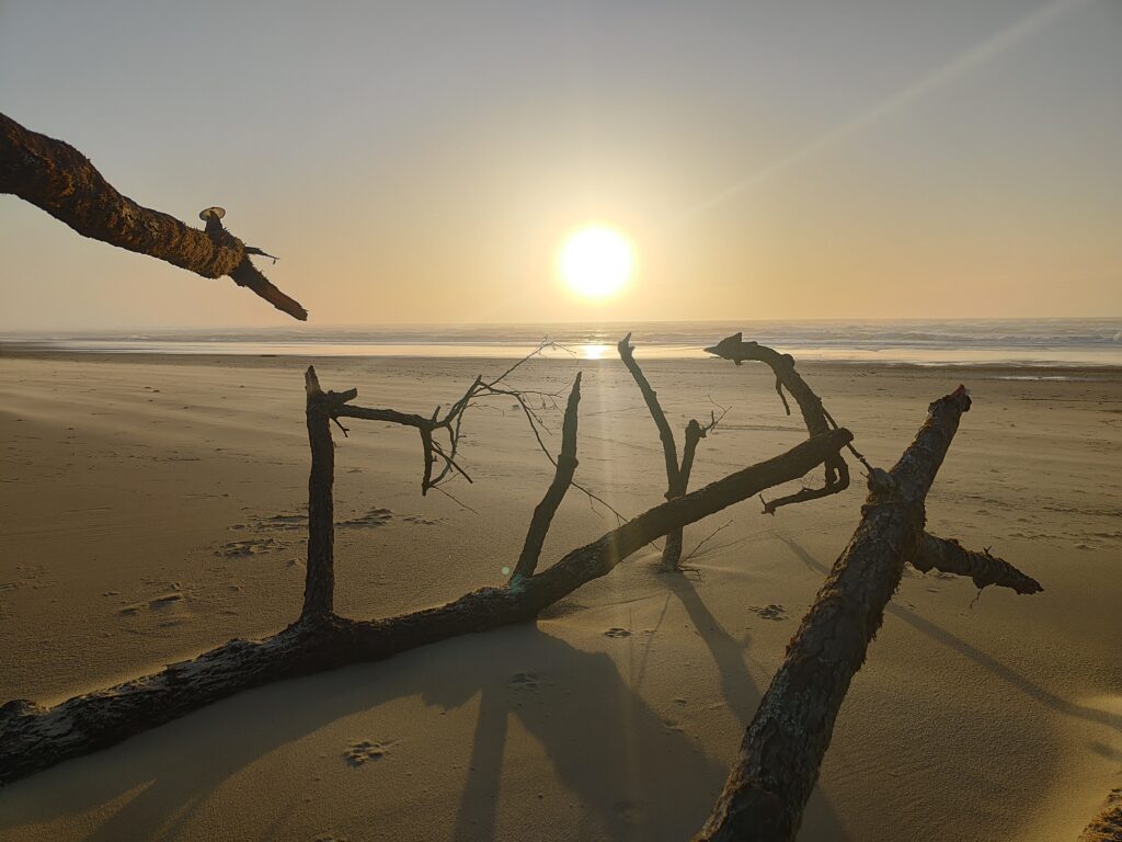 jeûne et clair, FFJR, Bordeaux, océan, coucher de soleil