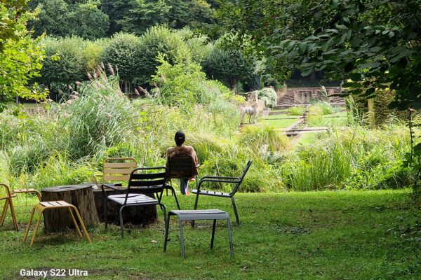 Méditation dans le parc