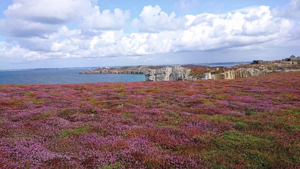 le cap bruyère